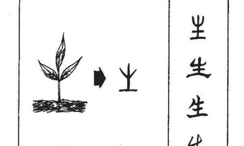 按摩的功效和作用和禁忌-按摩的功效和作用-专业颈部按摩的功效和作用平台-按摩的功效和作用和禁忌